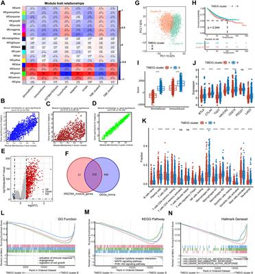 Tumor Microenvironment Heterogeneity-Based Score System Predicts Clinical Prognosis and Response to Immune Checkpoint Blockade in Multiple Colorectal Cancer Cohorts